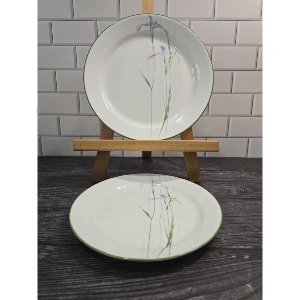 Corelle Shadow Iris Dinner Plate 10.25” & Luncheon Plate 9” Purple Floral USA